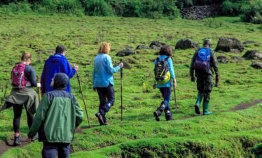 Africa Detox Experience