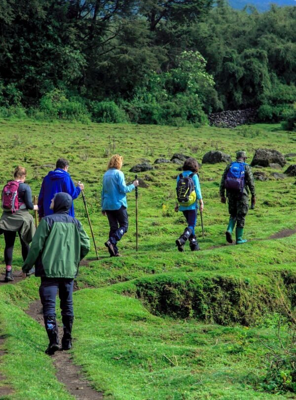 Africa Detox Experience