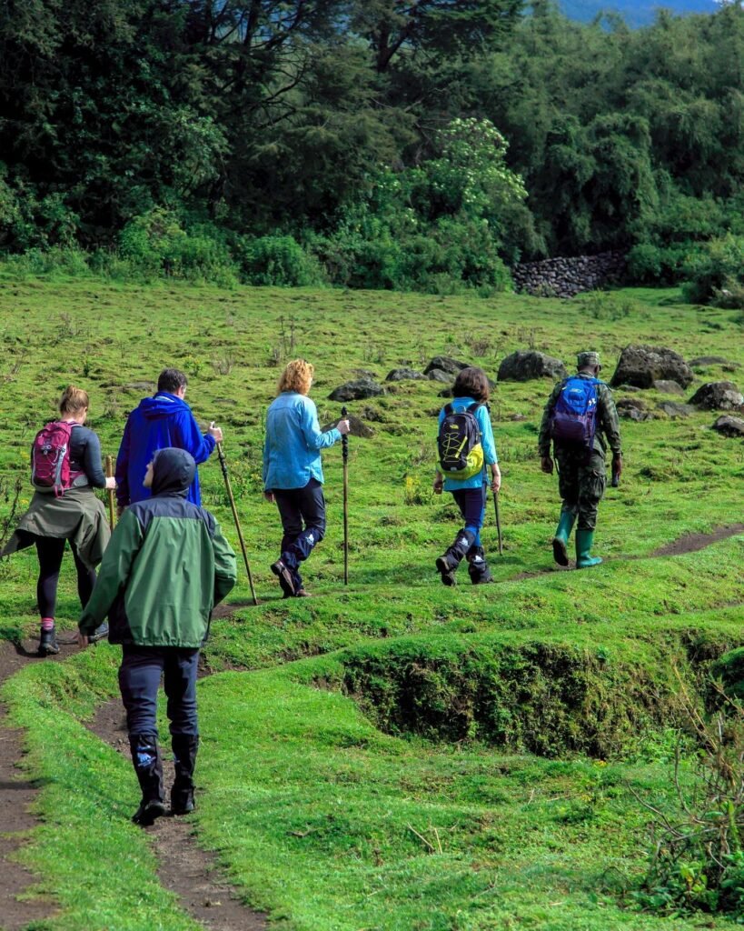 Africa Detox Experience