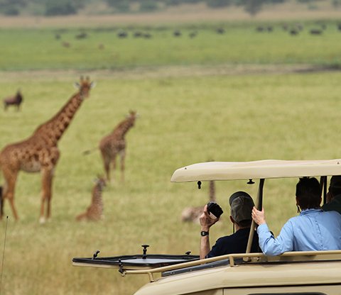 EastLens Safaris - Best Tourism company in rwanda (37)